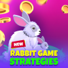 Strategie di gioco del coniglio